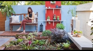 ต้นไม้จัดสวน