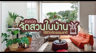 ต้นไม้จัดสวน